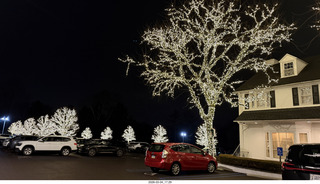 William Penn Inn - lit trees