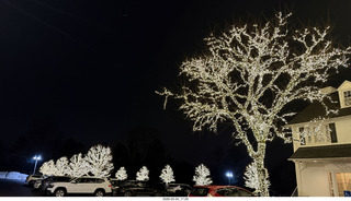 William Penn Inn - lit trees