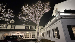 William Penn Inn - lit trees