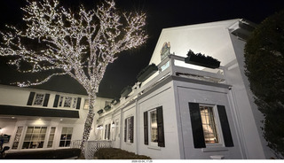 William Penn Inn - lit trees