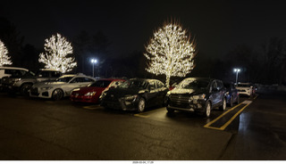 William Penn Inn - lit trees