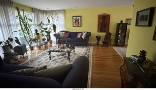 Adam in the multi-mirror