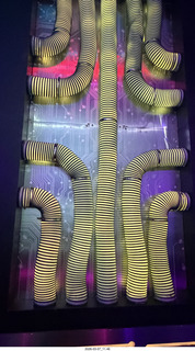 Northeast Philadelphia - OtherWorld museum event