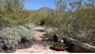 Taleisin West (Frank Lloyd Wright) - David Dodge House - McDowell Sonoran Conservancy breakfast