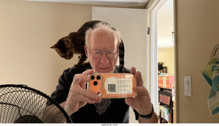 Adam in the multi-mirror