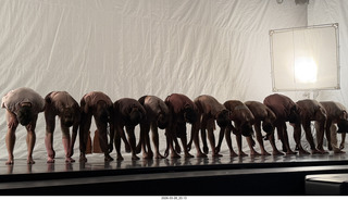 Scottsdale Arts - Jacob Jonas The Company