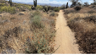 Scottsdale - Granite Mountain hike