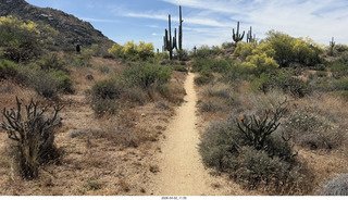 Scottsdale - Granite Mountain hike