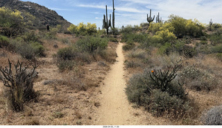 Scottsdale - Granite Mountain hike