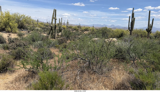Scottsdale - Granite Mountain hike