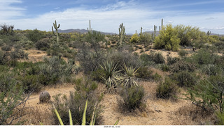 Scottsdale - Granite Mountain hike