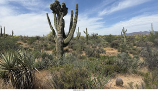 Scottsdale - Granite Mountain hike