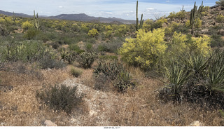 Scottsdale - Granite Mountain hike