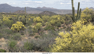 Scottsdale - Granite Mountain hike