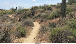Scottsdale - Granite Mountain hike