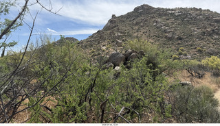 Scottsdale - Granite Mountain hike