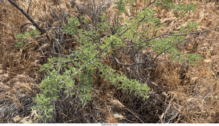 Scottsdale - Granite Mountain hike