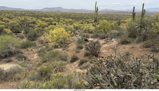 Scottsdale - Granite Mountain hike