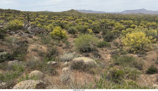 Scottsdale - Granite Mountain hike