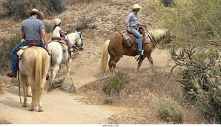 Scottsdale - Granite Mountain hike - horses