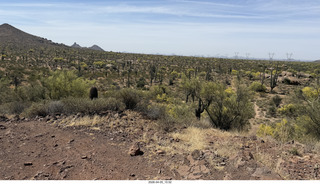 Brown's Ranch