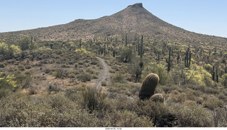 Brown's Ranch