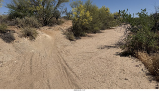 Brown's Ranch hike