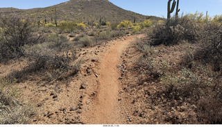 Brown's Ranch hike