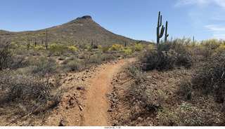 Brown's Ranch hike