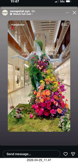 NovaPetal flower-man