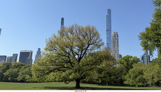 New York City - Central Park