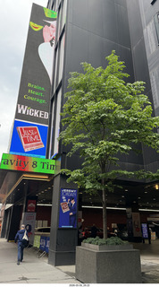 New York City - Wicked