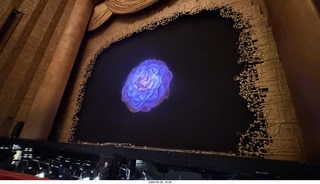 New York City - Wicked