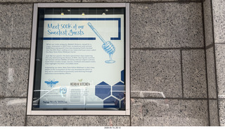 New York City - bees