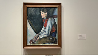 New York City - MoMA - Cezanne