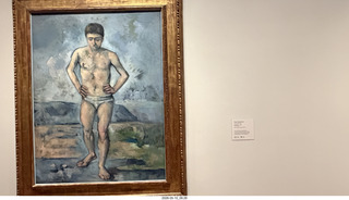 New York City - MoMA - Cezanne