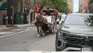 2 a2v. New York City - horse-drawn carriages
