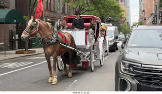 4 a2v. New York City - horse-drawn carriages
