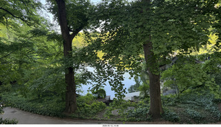 86 a2v. New York City - Central Park