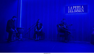 171 a2y. Spain - Barcelona - La Perla del Born - Flamenco concert