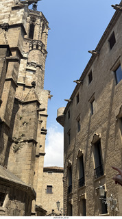 113 a2y. Spain - Barcelona - old Roman-Empire area - gargoyles