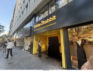 432 a2y. Spain - Barcelona - White Rabbit shop