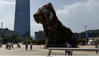 44 a2y. Spain - Bilbao - Guggenheim Museum - outside - big flowers puppy