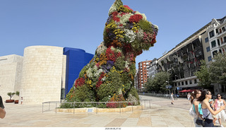 45 a2y. Spain - Bilbao - Guggenheim Museum - outside - big flowers puppy