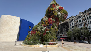 47 a2y. Spain - Bilbao - Guggenheim Museum - outside - big flowers puppy