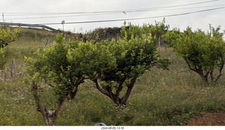 3 a2y. Spain - Bilbao wine tour