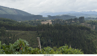 125 a2y. Spain - Bilbao wine tour - winery