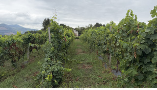 135 a2y. Spain - Bilbao wine tour - winery