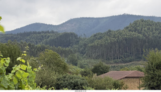145 a2y. Spain - Bilbao wine tour winery