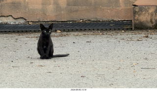 157 a2y. Spain - Bilbao wine tour winery - cat
